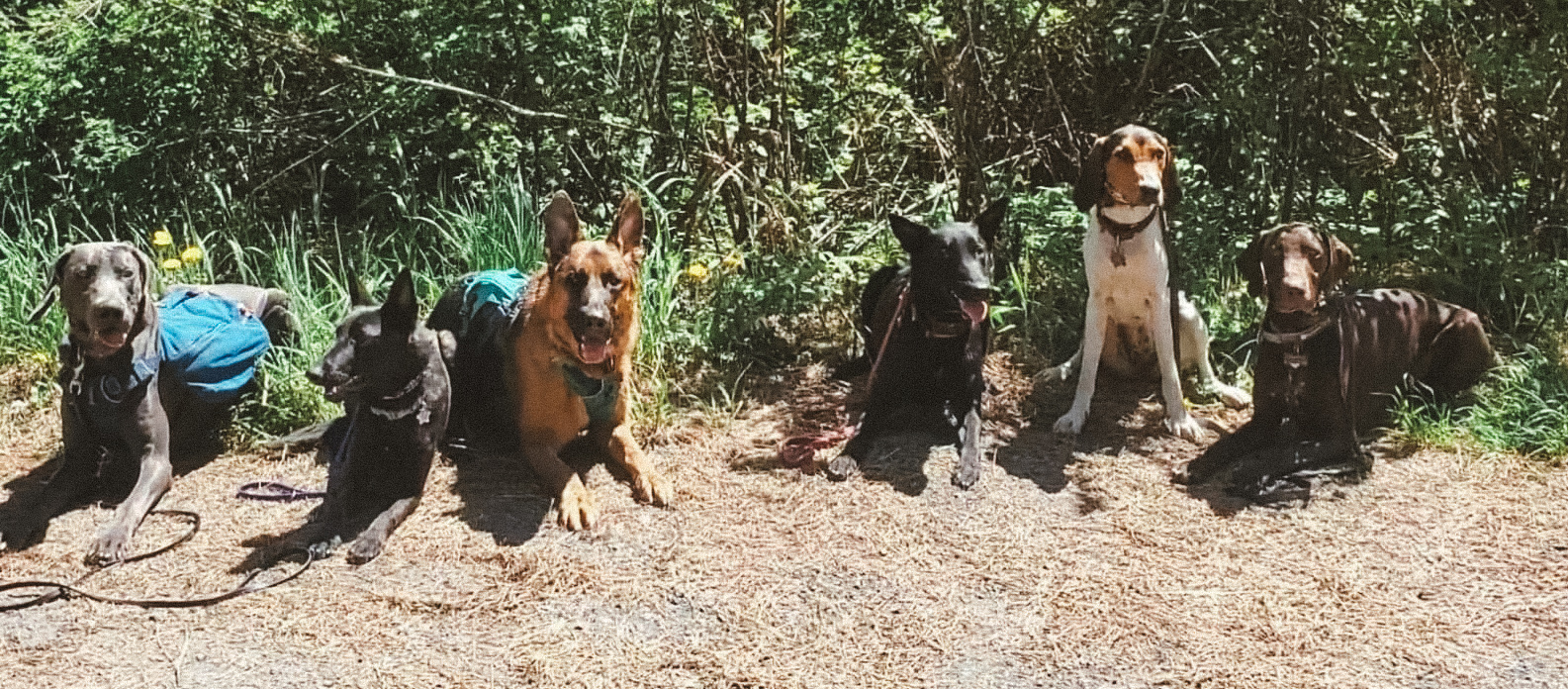 General Assistance Image